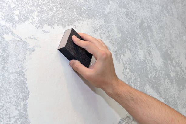 Best Mold Remediation for Rental Properties  in Whitwell, TN