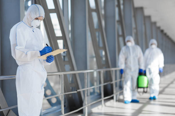 Best Mold Odor Removal Services  in Whitwell, TN